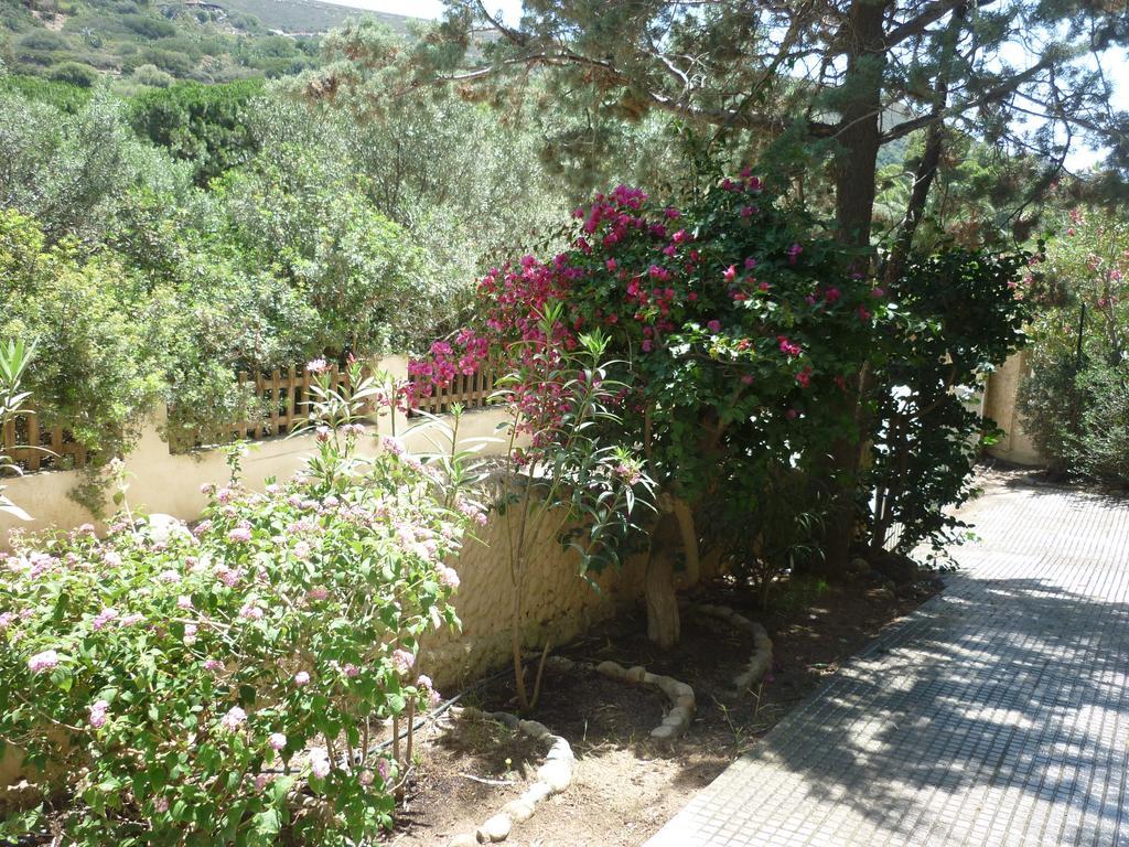Villa Bonu Torre delle Stelle Exterior photo